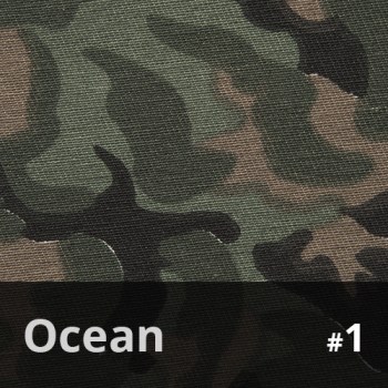 Ocean 1
